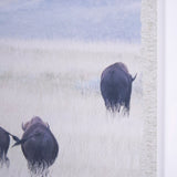 Grazing Herd (Set of 2) by Chad Mackay a Framed Photo Art Print Matted under Glass by Mercana at Eve Furniture
