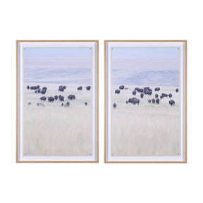 Grazing Herd (Set of 2) by Chad Mackay a Framed Photo Art Print Matted under Glass by Mercana at Eve Furniture