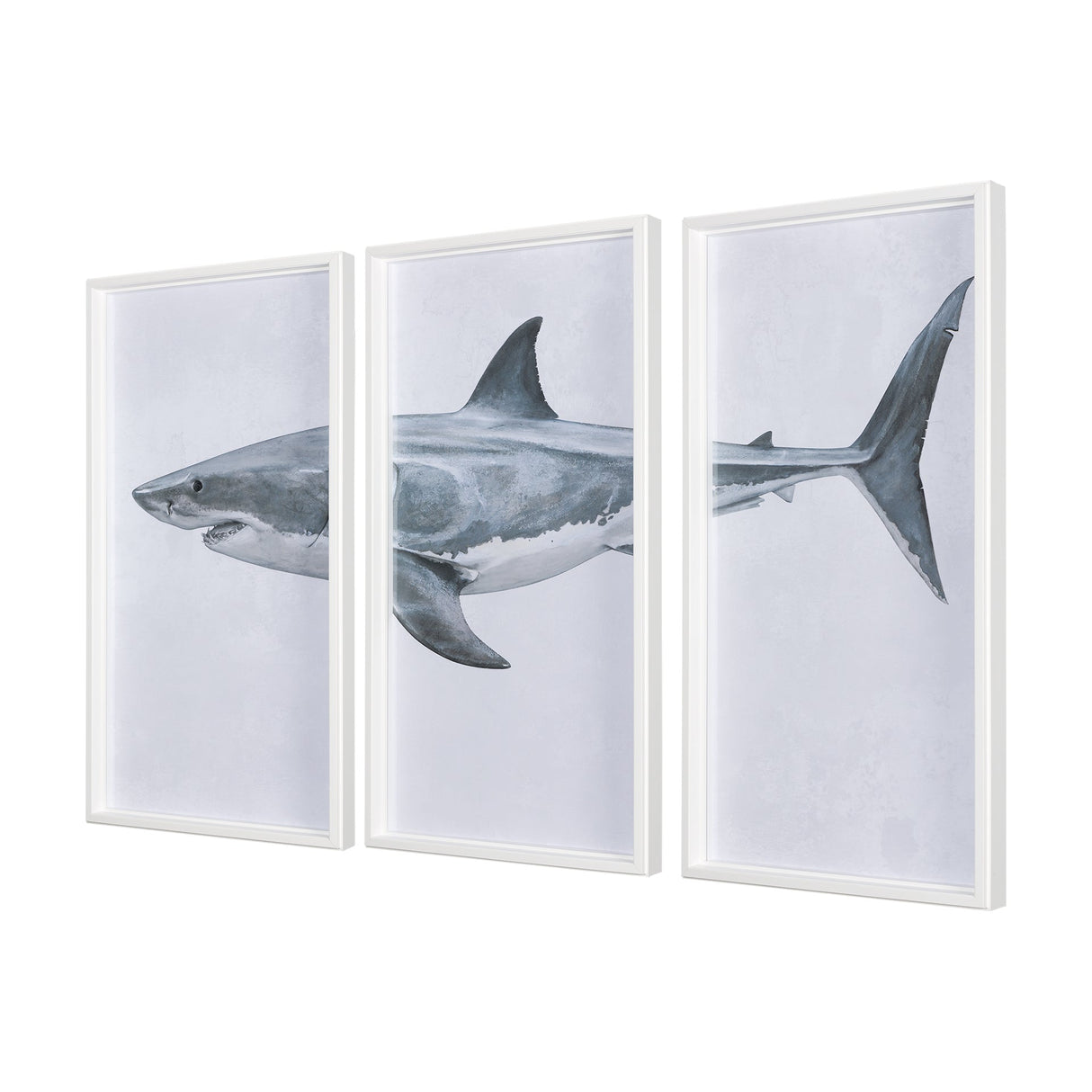 Great White Shark by Ariana a Triptych Hand Embellished Textured Framed Art Print Matted under Glass by Mercana at Eve Furniture