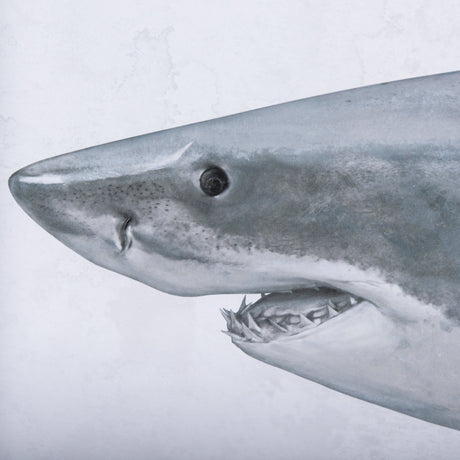 Great White Shark by Ariana a Triptych Hand Embellished Textured Framed Art Print Matted under Glass by Mercana at Eve Furniture