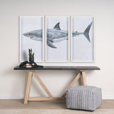 Great White Shark by Ariana a Triptych Hand Embellished Textured Framed Art Print Matted under Glass by Mercana at Eve Furniture
