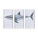 Great White Shark by Ariana a Triptych Hand Embellished Textured Framed Art Print Matted under Glass by Mercana at Eve Furniture
