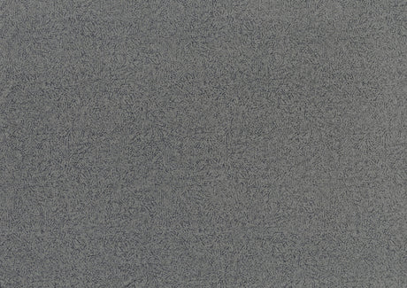 Greeley Gray Velvet Accent Chair by Homelegance at Eve Furniture