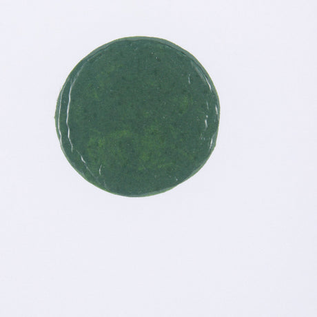 Green Desert II by Mercana Studio a Hand Embelished Textured Framed Art Print Matted under Glass by Mercana at Eve Furniture