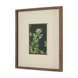 Green Growth by Michael Banks a Hand Embellished Framed Photo Art Print Matted under Glass by Mercana at Eve Furniture