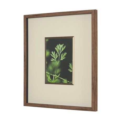Green Growth by Michael Banks a Hand Embellished Framed Photo Art Print Matted under Glass by Mercana at Eve Furniture