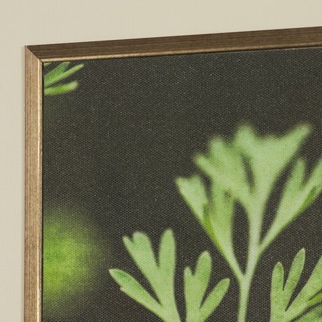 Green Growth by Michael Banks a Hand Embellished Framed Photo Art Print Matted under Glass by Mercana at Eve Furniture