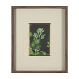 Green Growth by Michael Banks a Hand Embellished Framed Photo Art Print Matted under Glass by Mercana at Eve Furniture