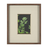 Green Growth by Michael Banks a Hand Embellished Framed Photo Art Print Matted under Glass by Mercana at Eve Furniture