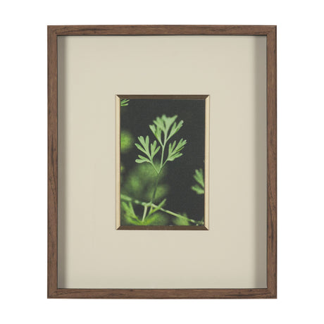 Green Growth by Michael Banks a Hand Embellished Framed Photo Art Print Matted under Glass by Mercana at Eve Furniture