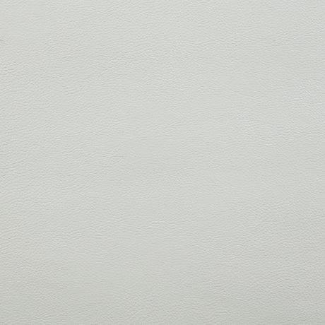 Greenfield Upholstered Power Reclining Sofa Dove Grey by Coaster at Eve Furniture