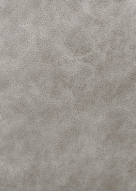 Greer Taupe 2-Piece Upholstered Tufted Living Room Set by Coaster at Eve Furniture