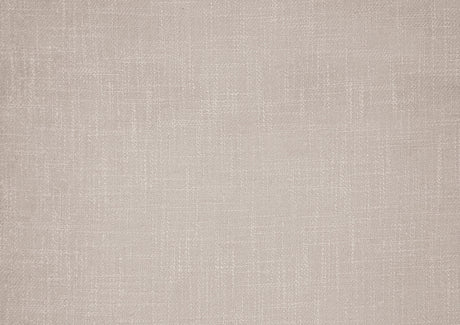 Greta Beige Accent Chair by Homelegance at Eve Furniture