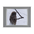Grey Owl by Chad Mackay a Hand Embellished Textured Framed Photo Art Print Matted under Glass by Mercana at Eve Furniture