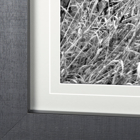 Grey & White Barn Ii by Mercana Studio Hand Embellished Textured Framed Photo Art Print Matted under by Mercana at Eve Furniture
