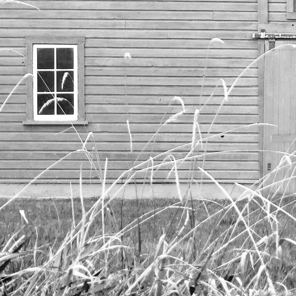 Grey & White Barn Ii by Mercana Studio Hand Embellished Textured Framed Photo Art Print Matted under by Mercana at Eve Furniture