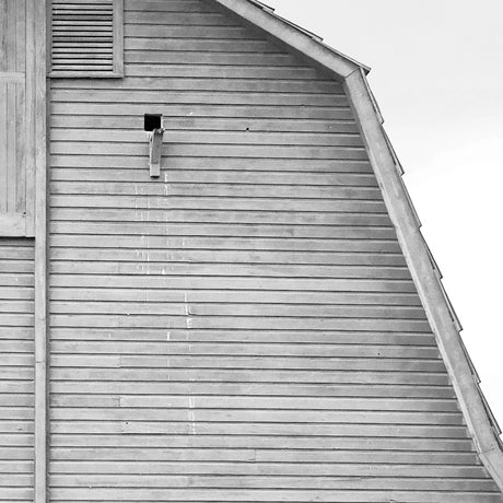 Grey & White Barn Ii by Mercana Studio Hand Embellished Textured Framed Photo Art Print Matted under by Mercana at Eve Furniture