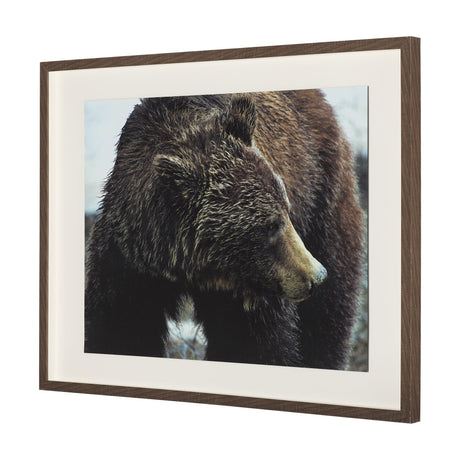 Grizzly Bear by Chad Mackay a Hand Embellished Textured Framed Photo Art Print Matted under Glass by Mercana at Eve Furniture