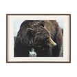 Grizzly Bear by Chad Mackay a Hand Embellished Textured Framed Photo Art Print Matted under Glass by Mercana at Eve Furniture