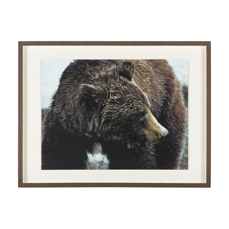 Grizzly Bear by Chad Mackay a Hand Embellished Textured Framed Photo Art Print Matted under Glass by Mercana at Eve Furniture