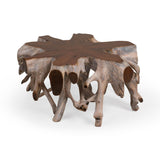 Groot Coffee Table by Classic Home at Eve Furniture