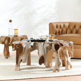Groot Coffee Table by Classic Home at Eve Furniture