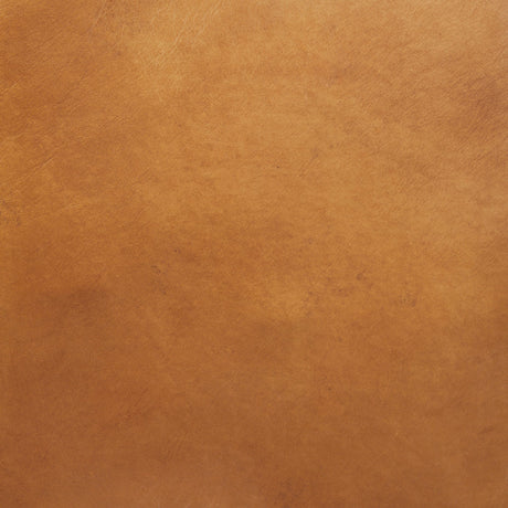 Grosjean Brown Leather Wrap Metal Frame Accent Chair by Mercana at Eve Furniture