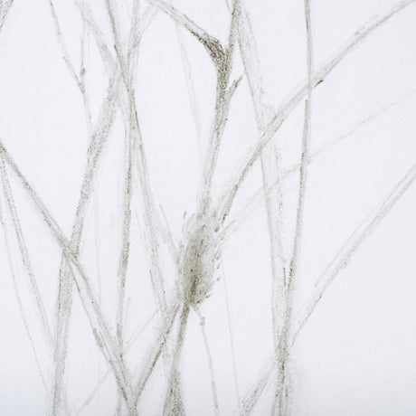 Growing Along The River I by Mercana Studio a Framed Art Print Matted under Glass by Mercana at Eve Furniture