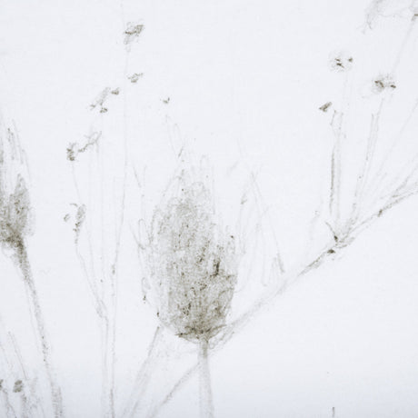 Growing Along The River I by Mercana Studio a Framed Art Print Matted under Glass by Mercana at Eve Furniture