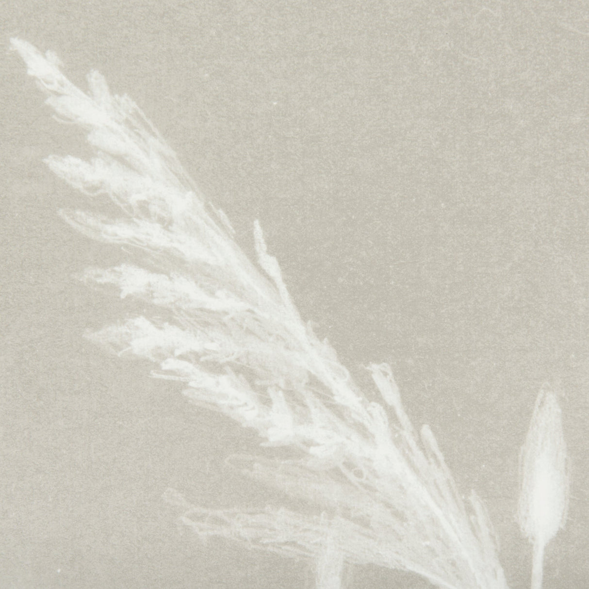 Growing Along The River IV by Mercana Studio Framed Matted under Glass by Mercana at Eve Furniture