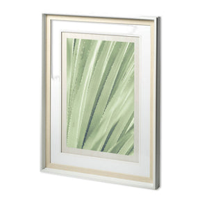 Guadalupe - Framed Art Photograph Matted under Glass by Mercana at Eve Furniture