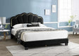 Gul Black Queen Platform Bed by New Era Innovations at Eve Furniture