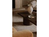 Hadley Warm Brown Coffee Table by Moe's Home at Eve Furniture