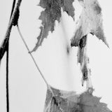 Hanging by Rebecca Cozart a Hand Embellished Textured Framed Art Print Matted under Glass by Mercana at Eve Furniture