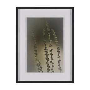 Hanging Delight by Michael Banks a Hand Embellished Framed Photo Art Print Matted under Glass by Mercana at Eve Furniture