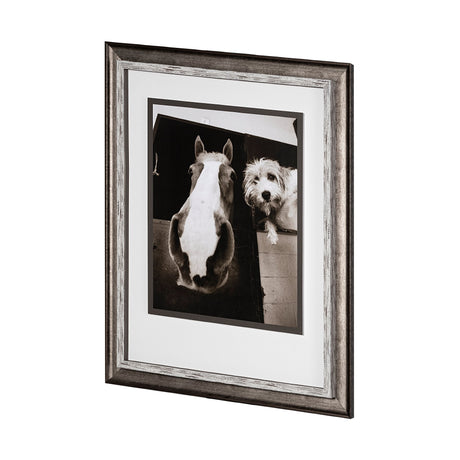 Hanging Out by Jim Drafield a Framed Photo Art Print Matted under Glass by Mercana at Eve Furniture