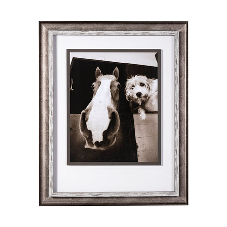 Hanging Out by Jim Drafield a Framed Photo Art Print Matted under Glass by Mercana at Eve Furniture