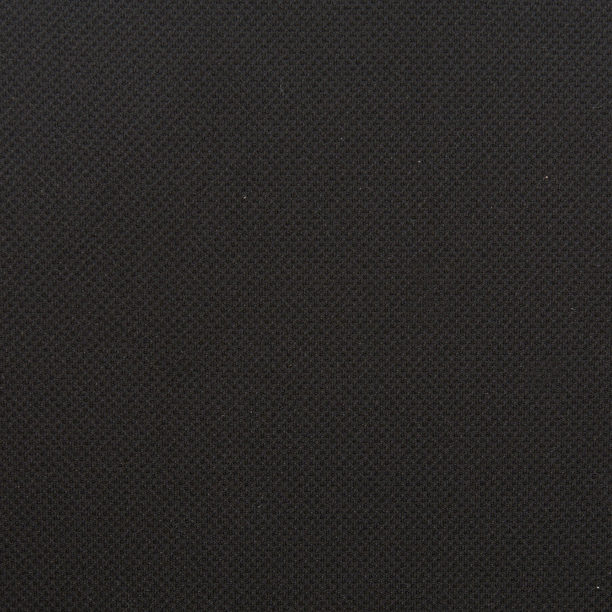 Hasso Black Office Chair by Zuomod at Eve Furniture