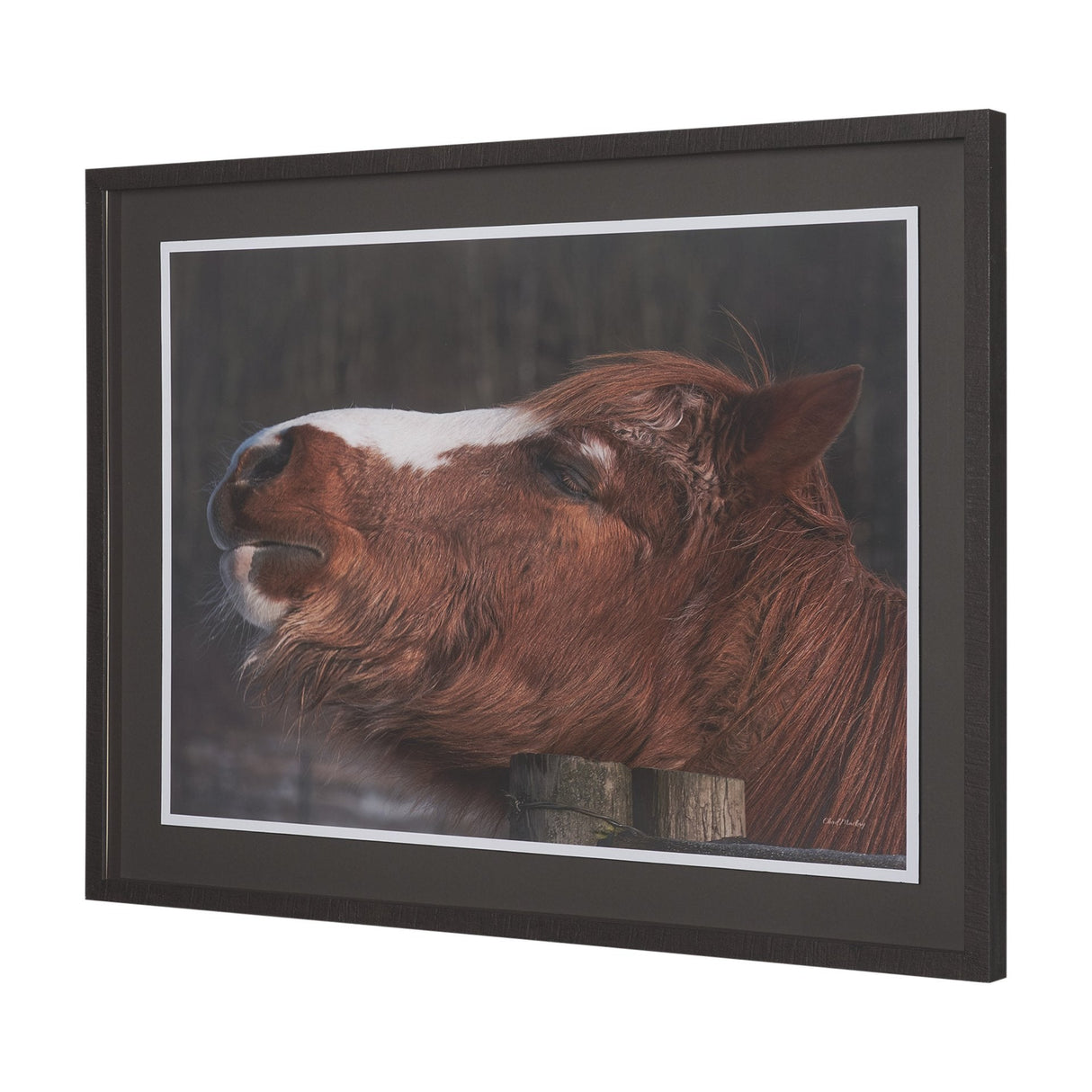 Hay over Here. by Chad Mackay FramedPhoto Print Matted under Glass by Mercana at Eve Furniture