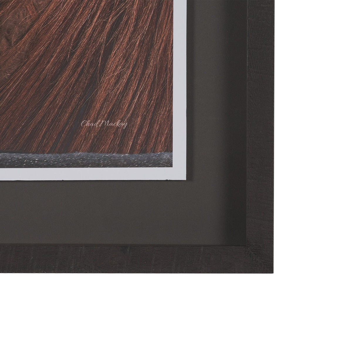 Hay over Here. by Chad Mackay FramedPhoto Print Matted under Glass by Mercana at Eve Furniture