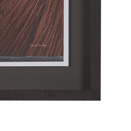 Hay over Here. by Chad Mackay FramedPhoto Print Matted under Glass by Mercana at Eve Furniture