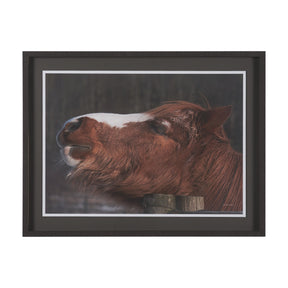 Hay over Here. by Chad Mackay FramedPhoto Print Matted under Glass by Mercana at Eve Furniture