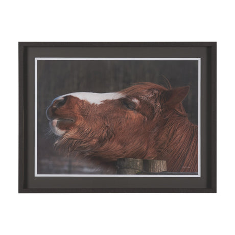 Hay over Here. by Chad Mackay FramedPhoto Print Matted under Glass by Mercana at Eve Furniture