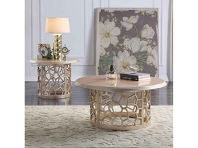 HD-8913CHAM Champagne 3-Piece Coffee Table Set by Homey Design at Eve Furniture