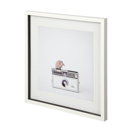Hedgehog & Vintage Camera by Susannah Tucker Photography a Framed Photo Art Print Matted under Glass by Mercana at Eve Furniture