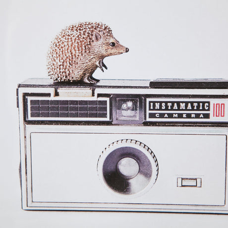 Hedgehog & Vintage Camera by Susannah Tucker Photography a Framed Photo Art Print Matted under Glass by Mercana at Eve Furniture