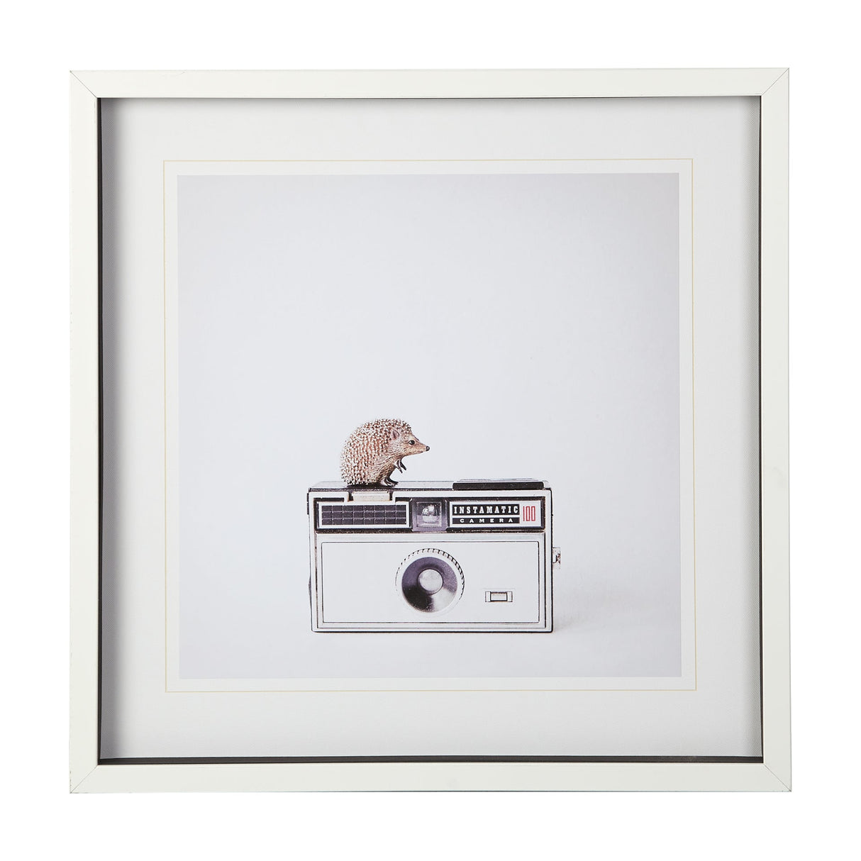 Hedgehog & Vintage Camera by Susannah Tucker Photography a Framed Photo Art Print Matted under Glass by Mercana at Eve Furniture