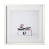 Hedgehog & Vintage Camera by Susannah Tucker Photography a Framed Photo Art Print Matted under Glass by Mercana at Eve Furniture