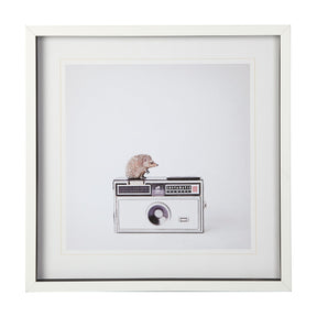 Hedgehog & Vintage Camera by Susannah Tucker Photography a Framed Photo Art Print Matted under Glass by Mercana at Eve Furniture