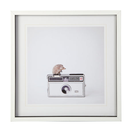Hedgehog & Vintage Camera by Susannah Tucker Photography a Framed Photo Art Print Matted under Glass by Mercana at Eve Furniture